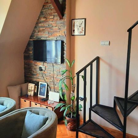 דירות בלגרד Duplex Studio Mansarda מראה חיצוני תמונה